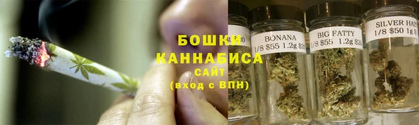 spice Каменка