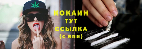 spice Каменка
