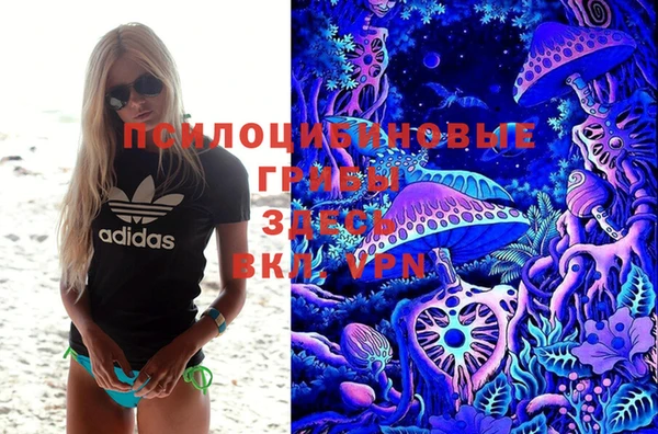 бутират Каменногорск