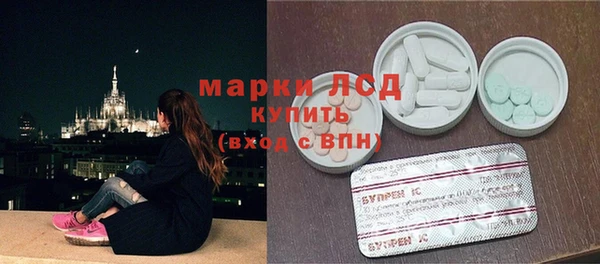 spice Каменка