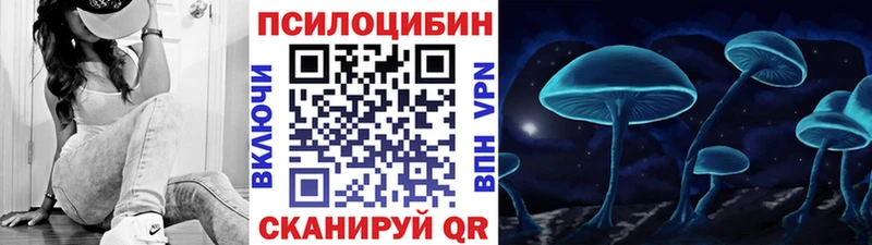 Купить где  Набережные Челны  Псилоцибиновые грибы мицелий 